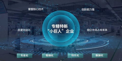 玄羽科技榮膺國家級“專精特新”小巨人企業，引領工業互聯網數據服務新篇章